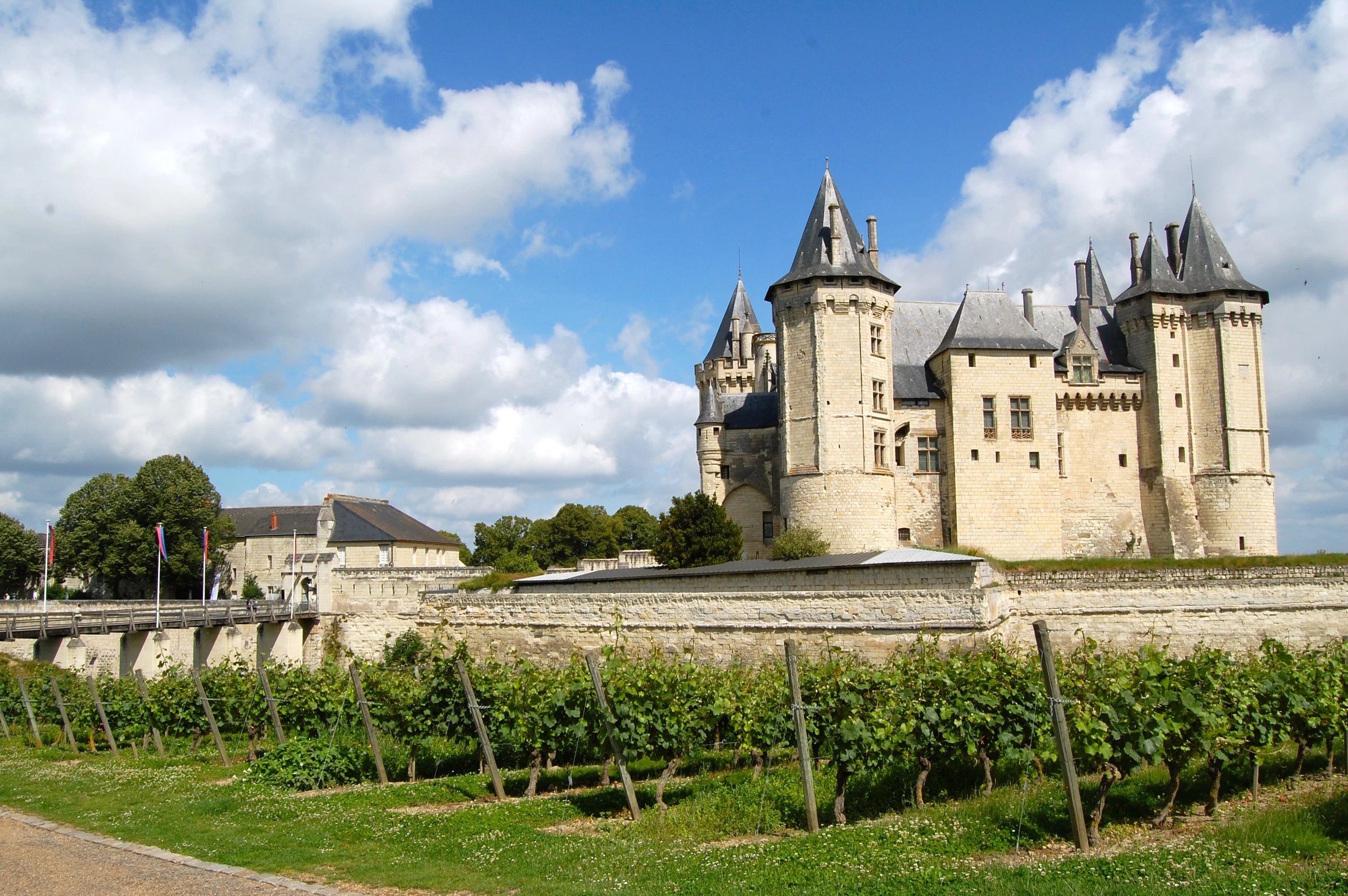 Château de Beauvois ****  | Loire Valley | Tourism
